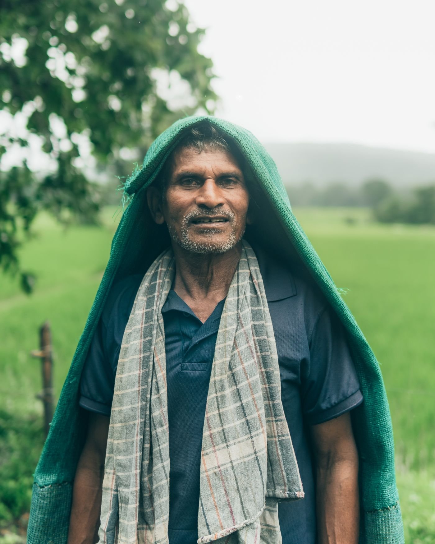 Indian farmer in a green field