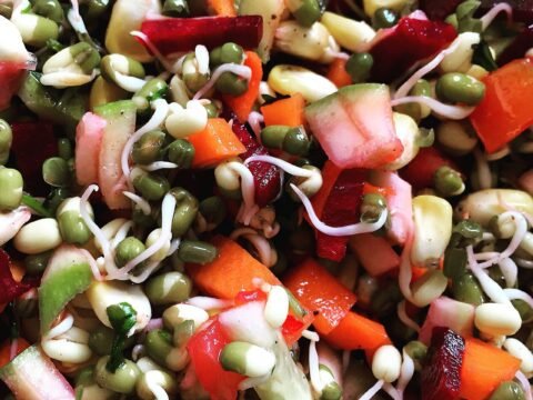 Fresh sprouted green gram mixed with colourful chopped vegetables