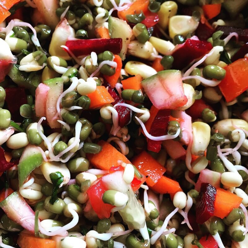 Fresh sprouted green gram mixed with colourful chopped vegetables